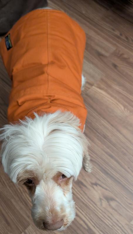 Not happy that it's 26 degrees, but glad for new jacket.