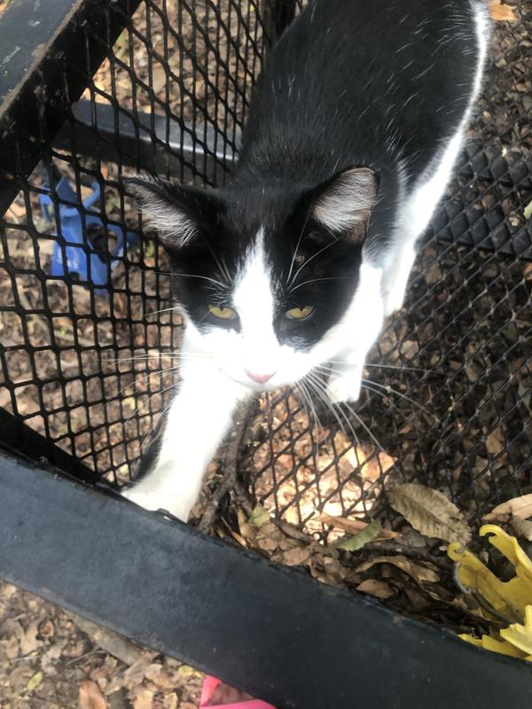 Mike regains energy level