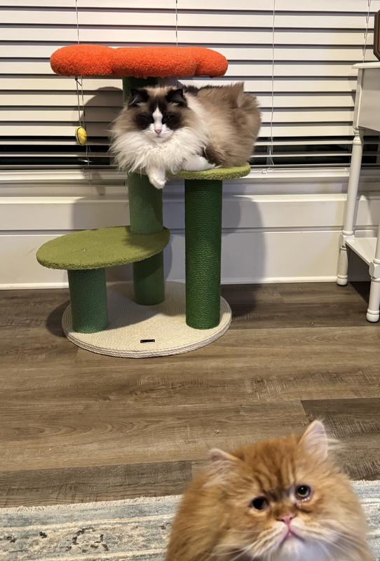 The two of them are big fans!!