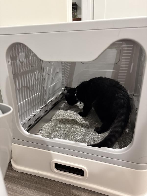 easy to set up and seems well made so far...