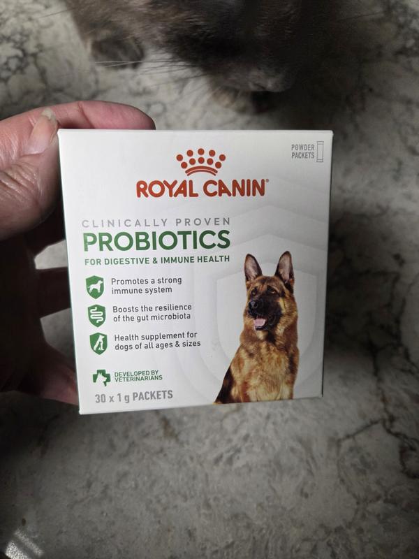 Box of Royal Canin probiotics