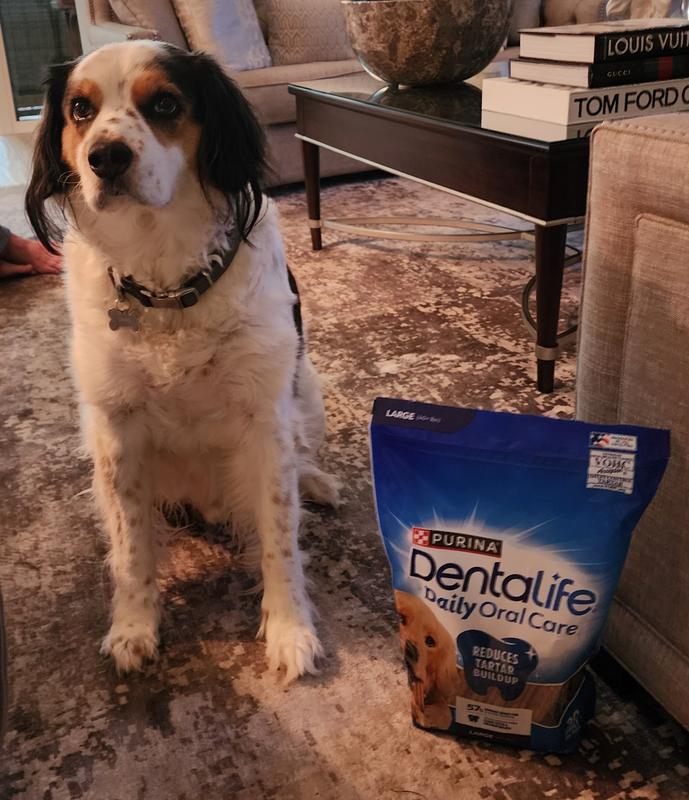 Purina orders dentalife large