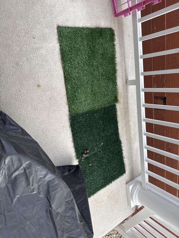 Great grass for nasty weather