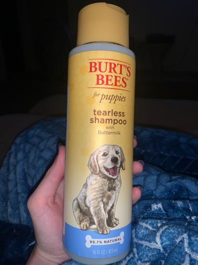 Burt's bees best sale tearless puppy shampoo