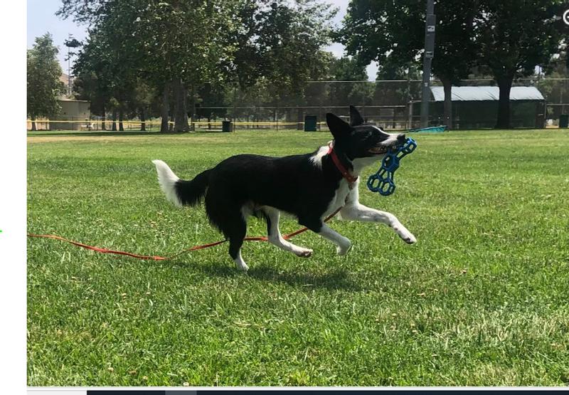 She loves it too!