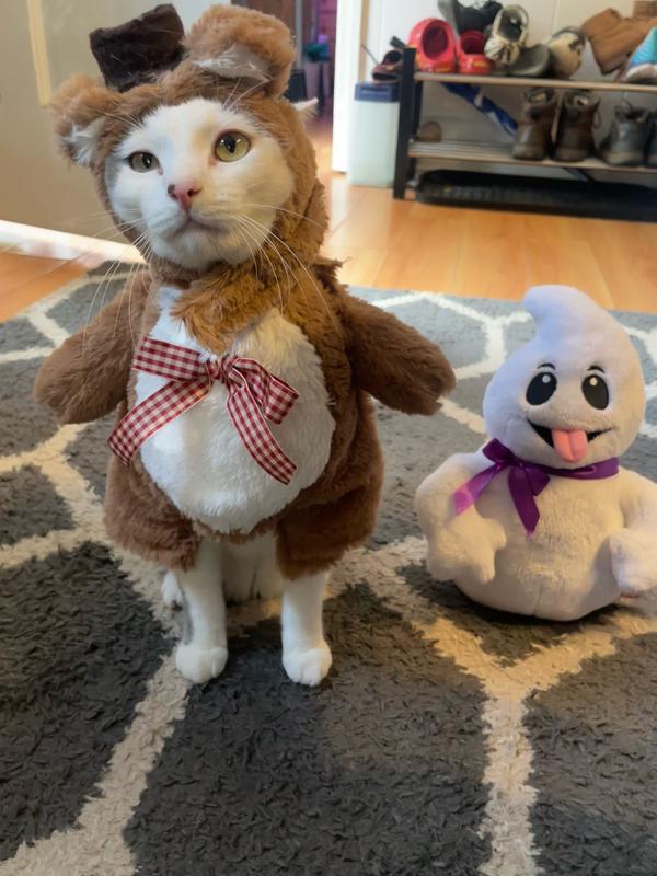 Mochi in her modified Halloween Costume.