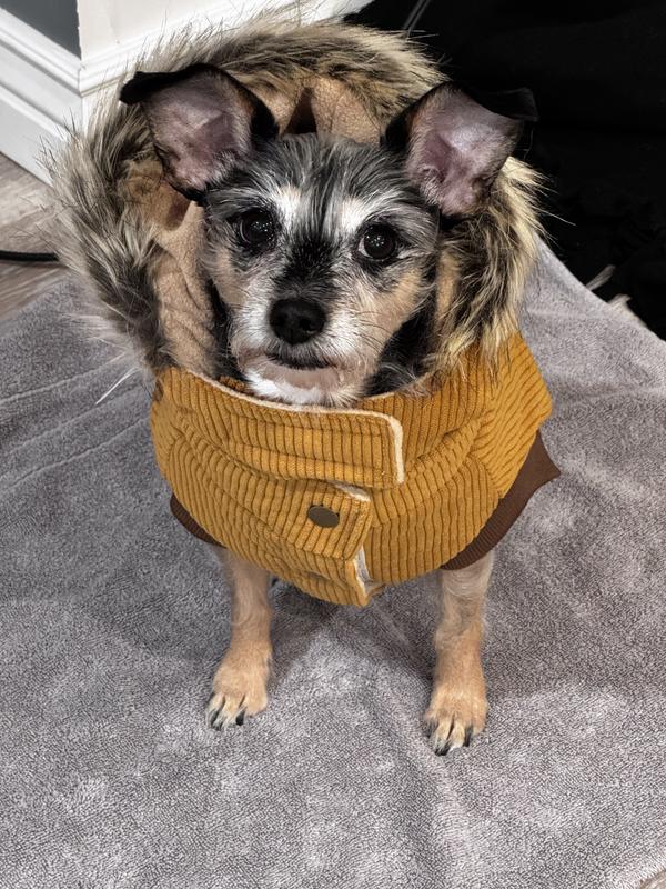 Ready to go potty in the cold Utah weather!