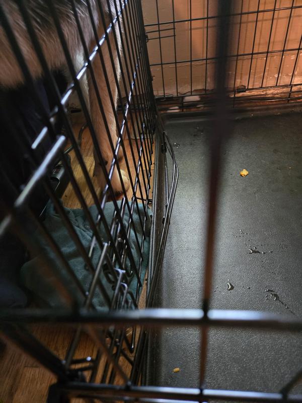 I added high quality zip ties all around the crate before putting my 11 month old husky in there while I was at work.