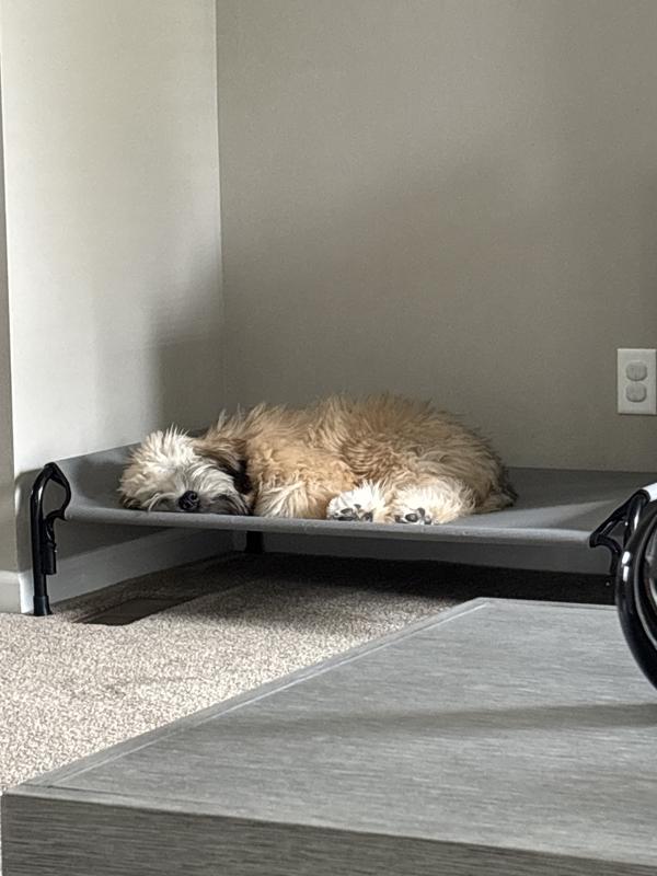 Such a perfect place to sleep!!