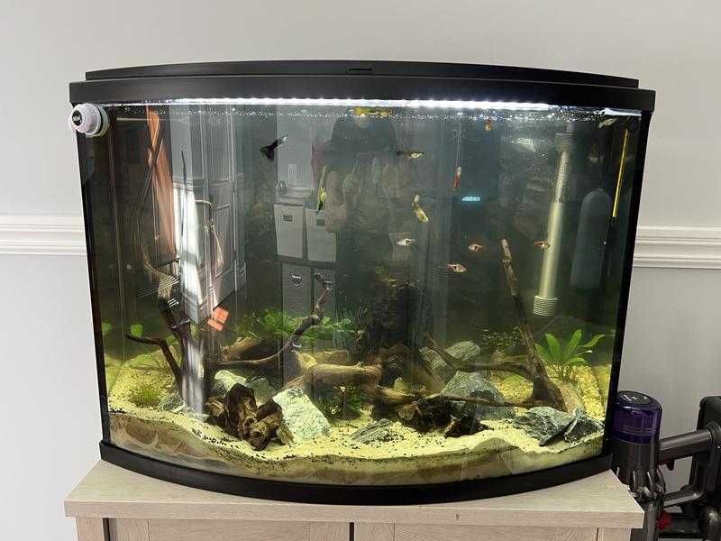 AA AQUARIUM Green Killing Machine Internal UV System, 3watt