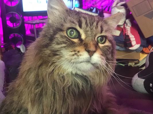 Abby, pushing 20!