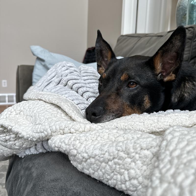 Sleeping through the day - relaxed.