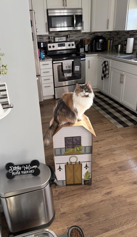 Voodoo discovered she can sit on top too.