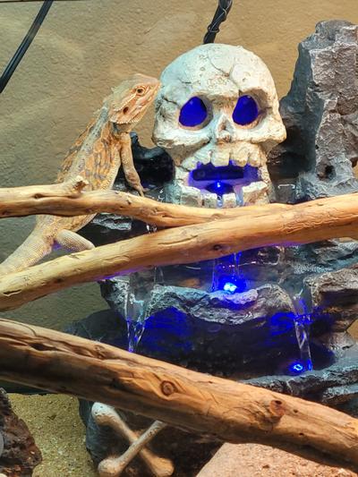 2 Days after Install