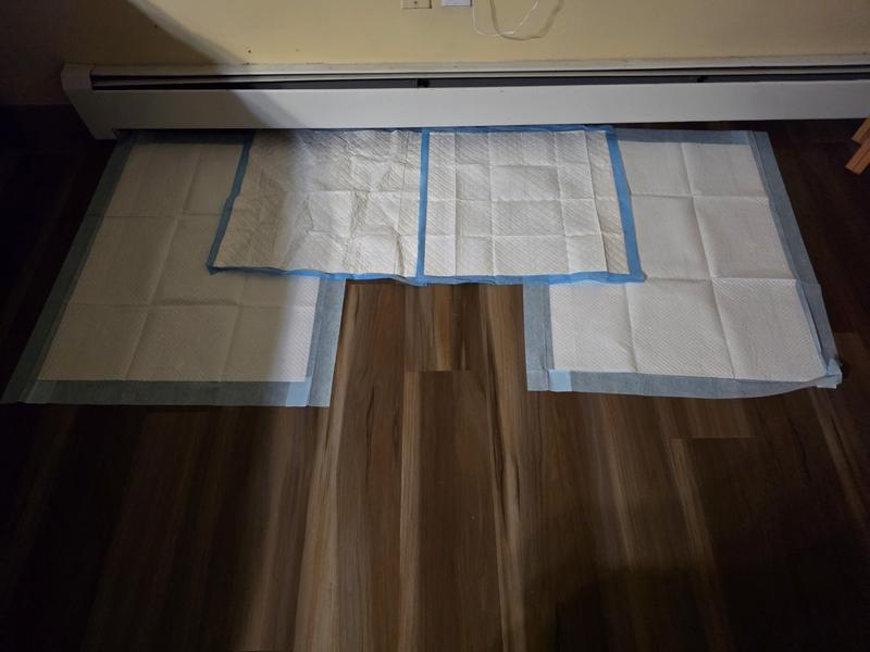 Shown next to standard size puppy pads