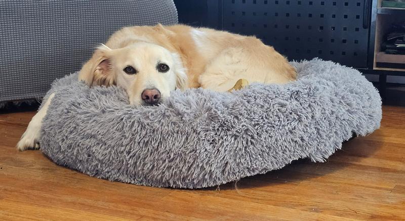 Relaxing on a Friday evening