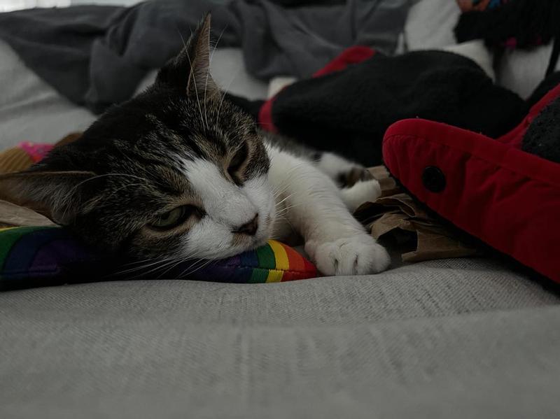 Love my rainbow