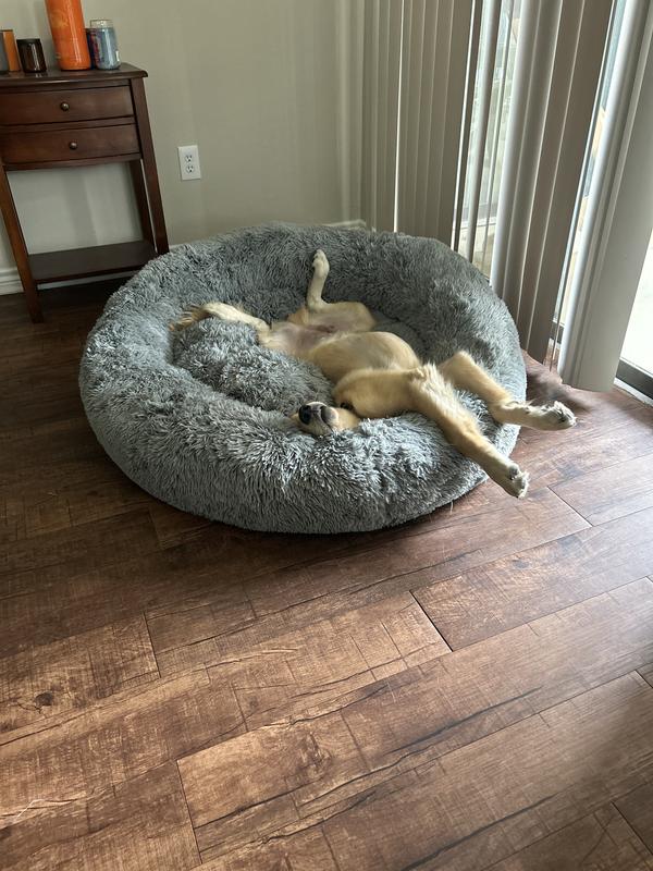 Chito nap time!!
