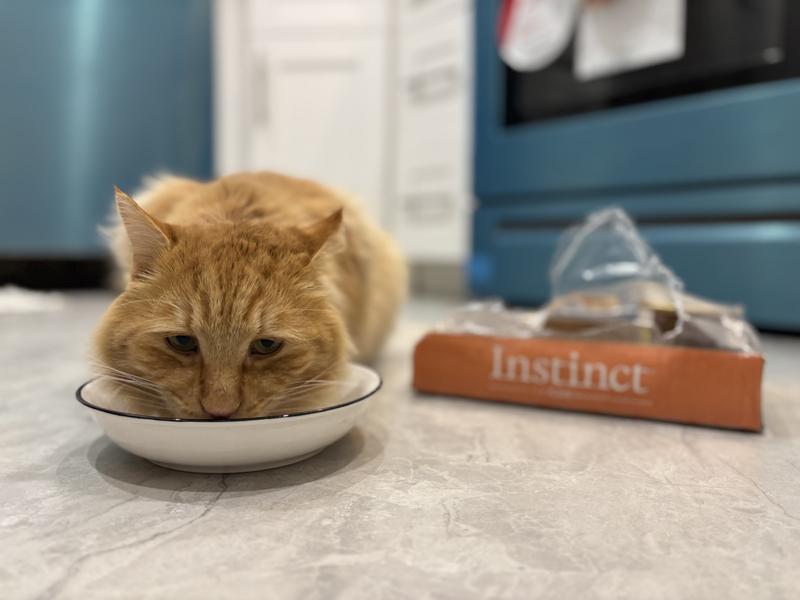 Natural instinct venison cat food store