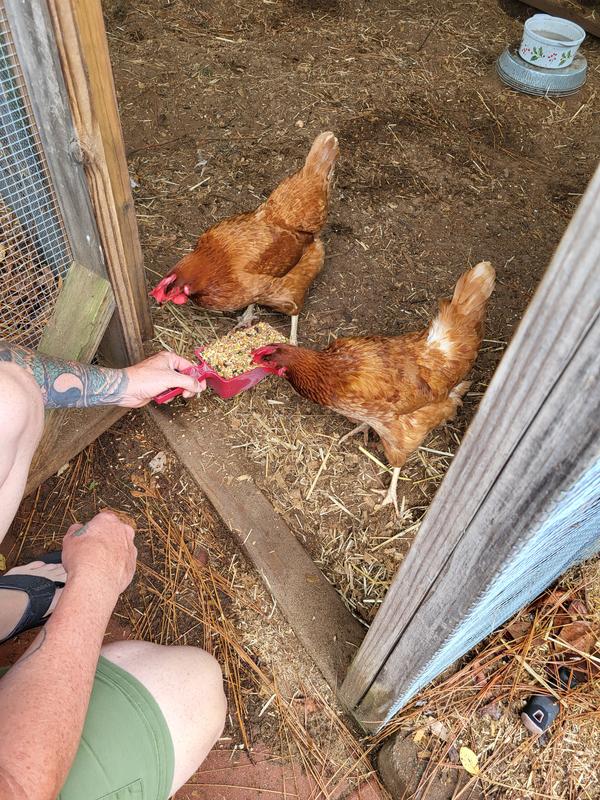 Miss Daisy & Spanky love it