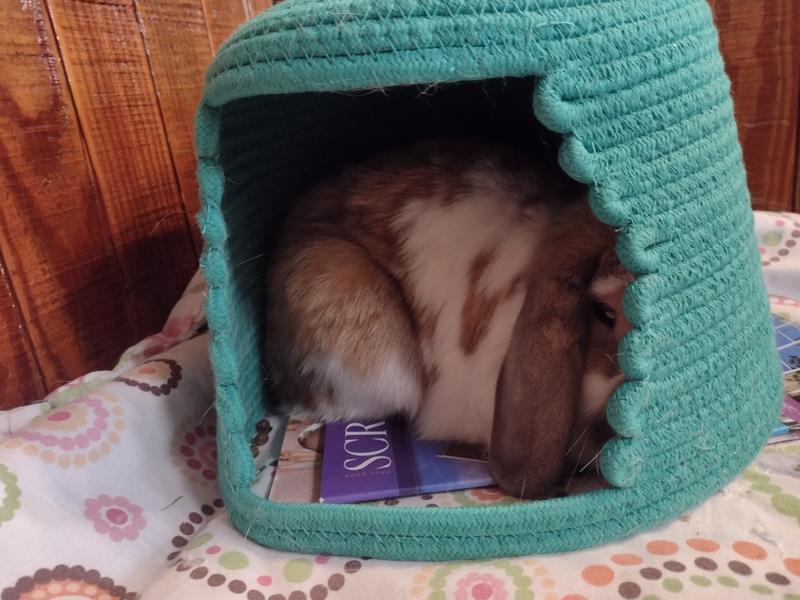 Galina chillin in her hut!