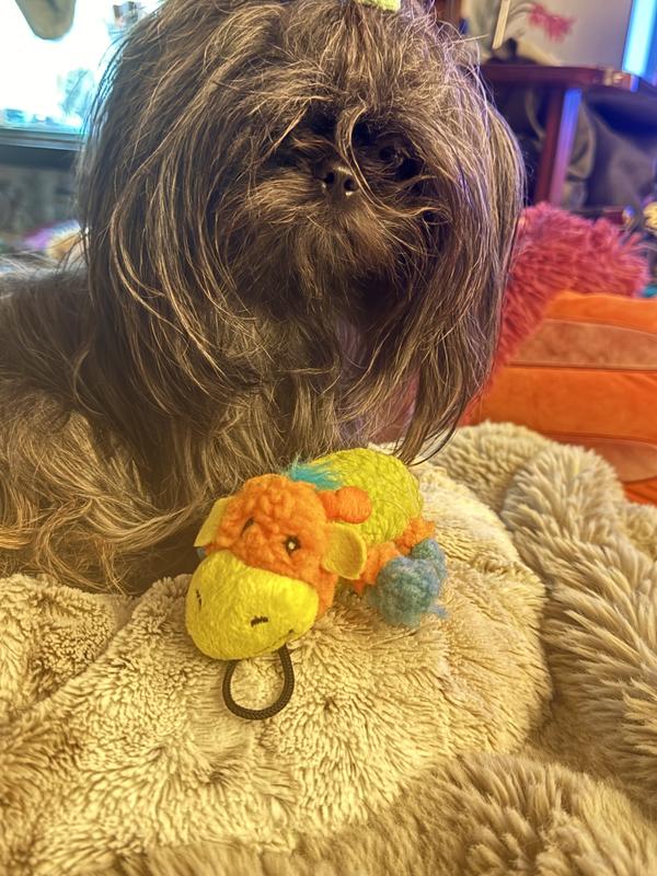 Shanti and Mr moosie