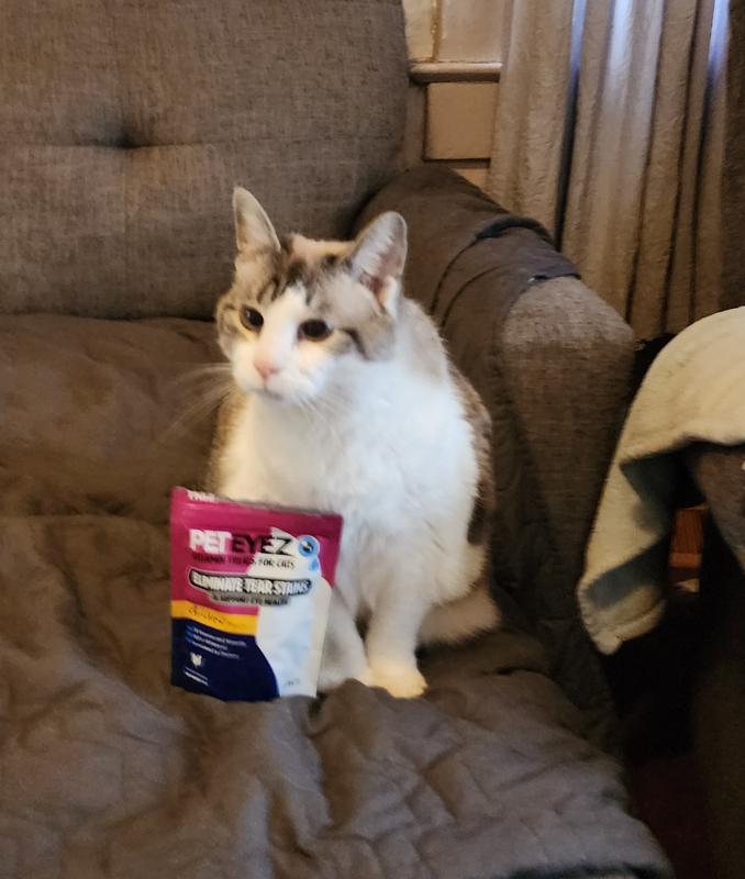 Bug is patiently waiting for her treat!