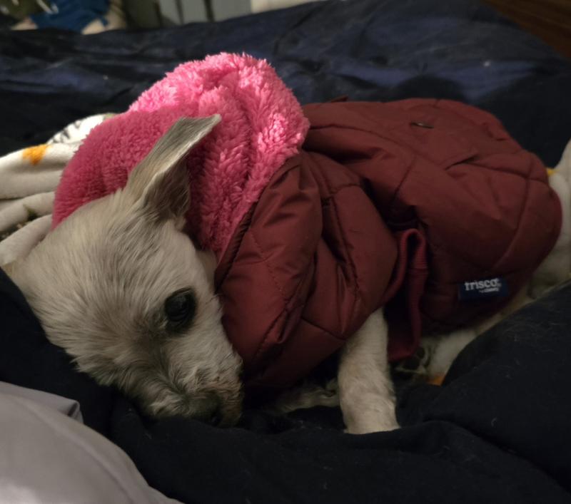 More like a sleeping bag!