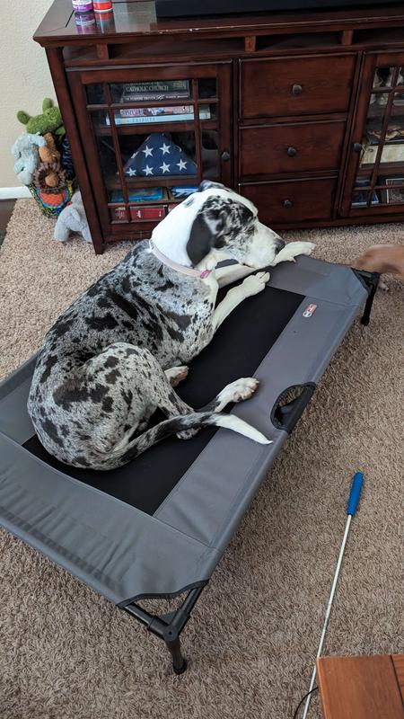 Pet Cot / Place-Board