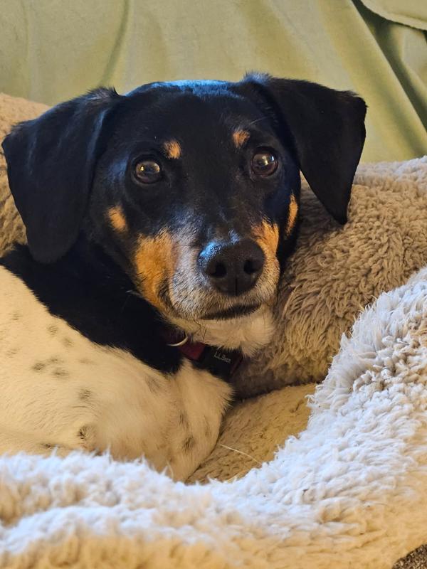 I just ate the food.