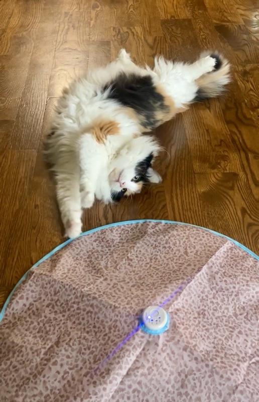 Product Reviews for SMARTYKAT Instincts Hidden Hijinks Electronic