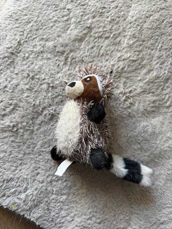 The first 4 are from when he first received the toy and the last two are after a week of playing