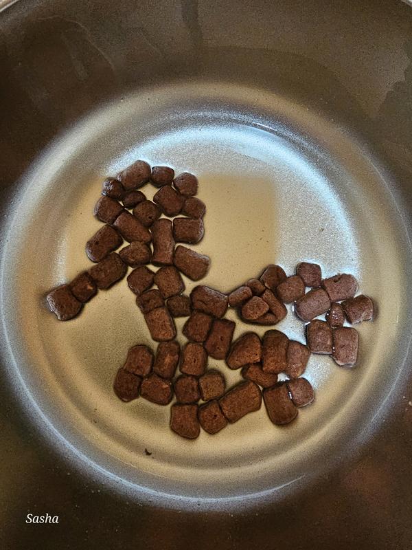 Added water before the rest of the food is added