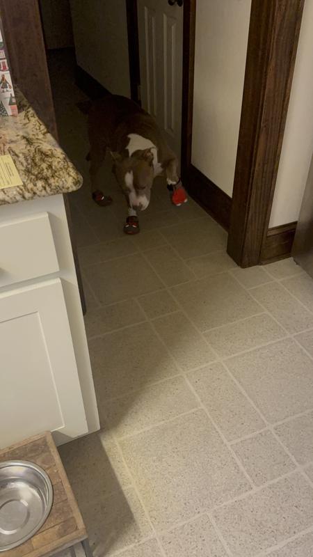 She’s trying to walk