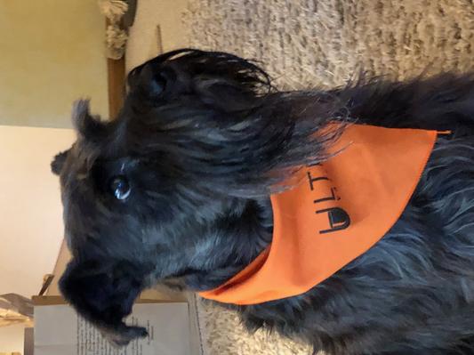 More goodies please...