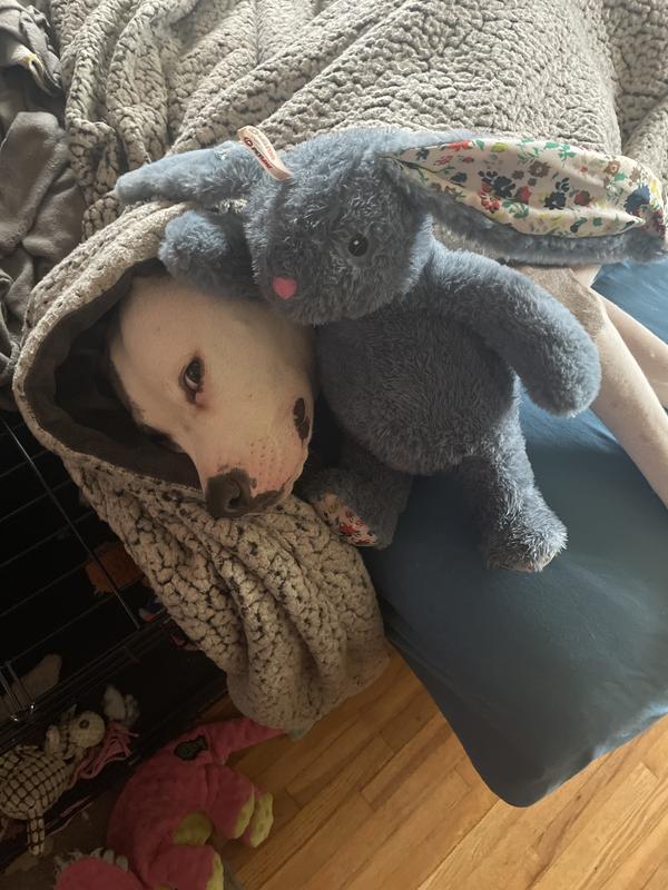 Protecting his toys.  He doesn’t share