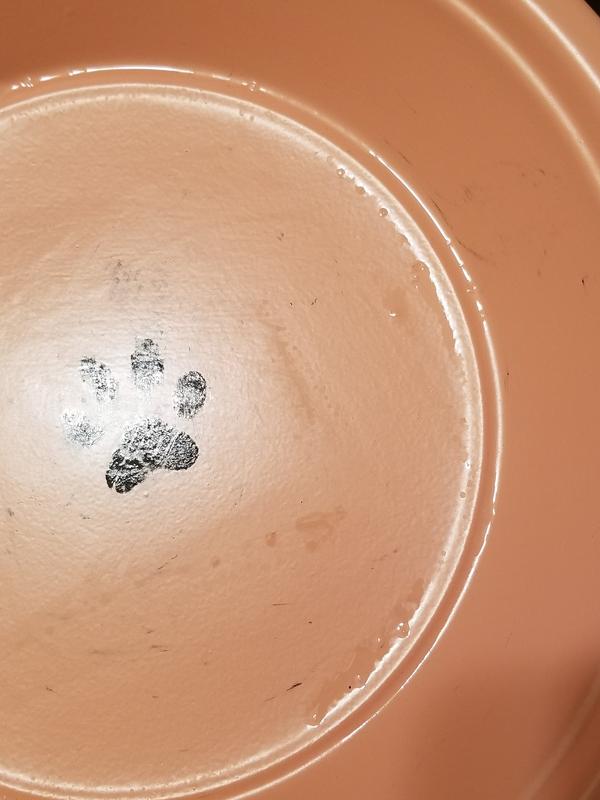 Closer look at the paint coming off of the cat paw