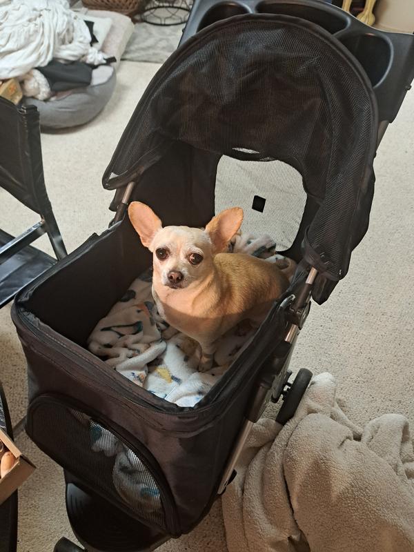 Pia's ride