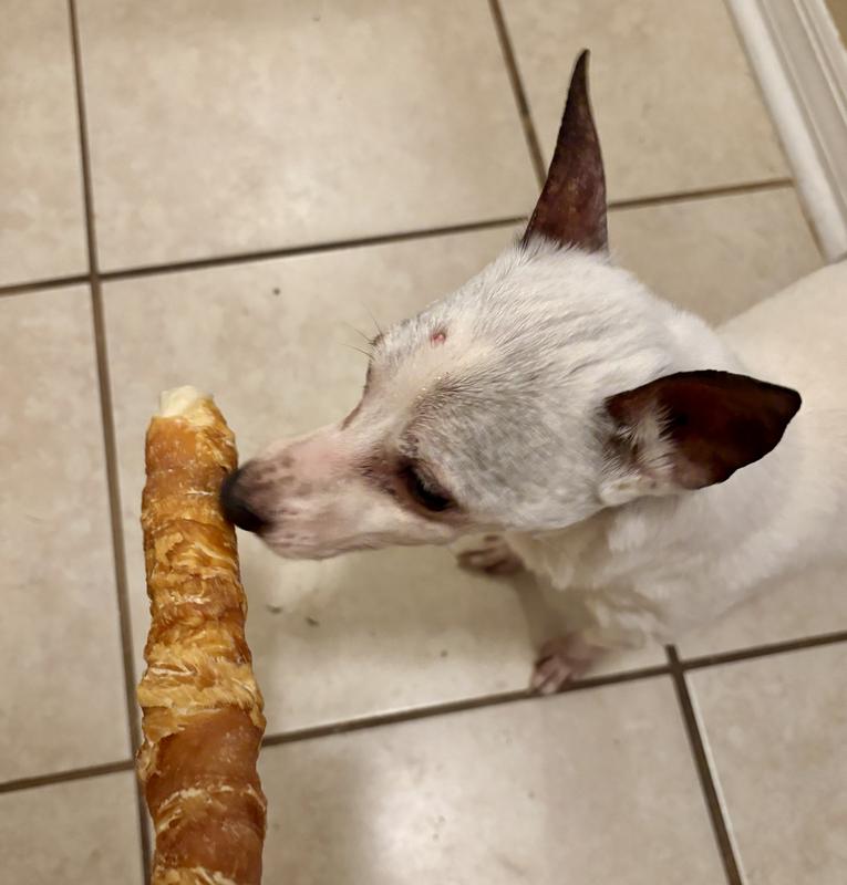 Sniff - what’s this?