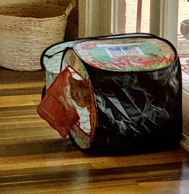 KONG Play Spaces Bungalow Cat Toy