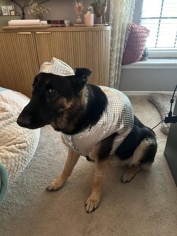 Disco ball dog costume sale