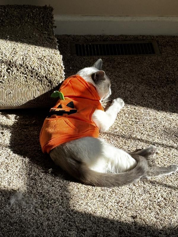 Fell asleep in the sun