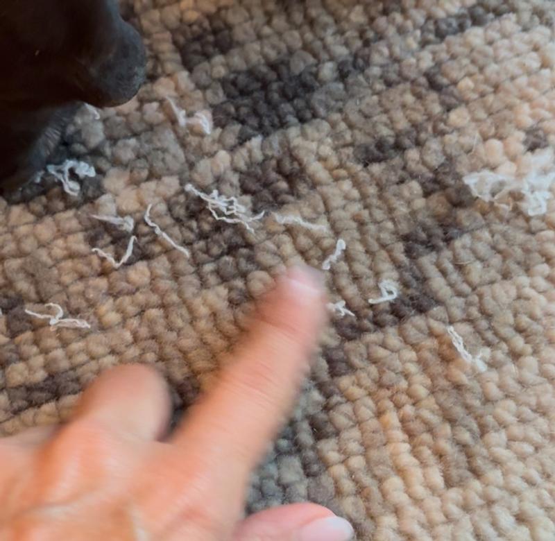 it consistently shed and got stuck in our carpets