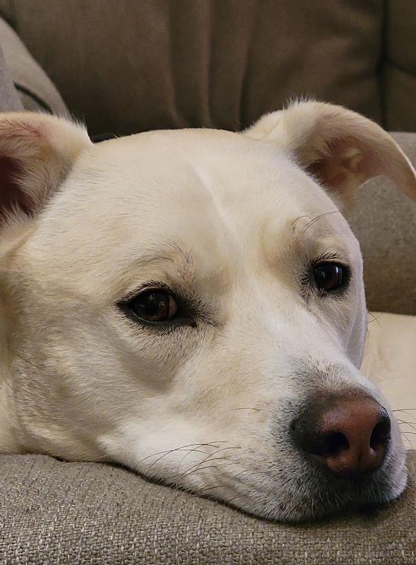 This face says it all.