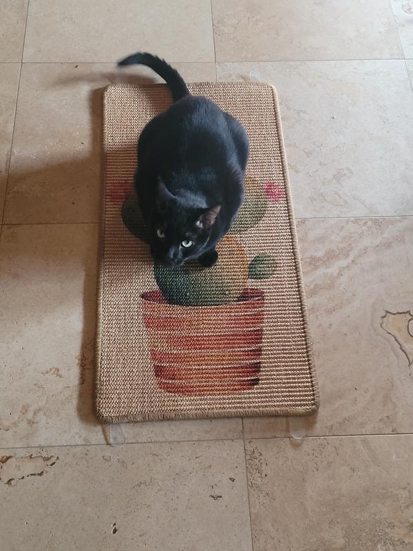 Willie loving his new mat