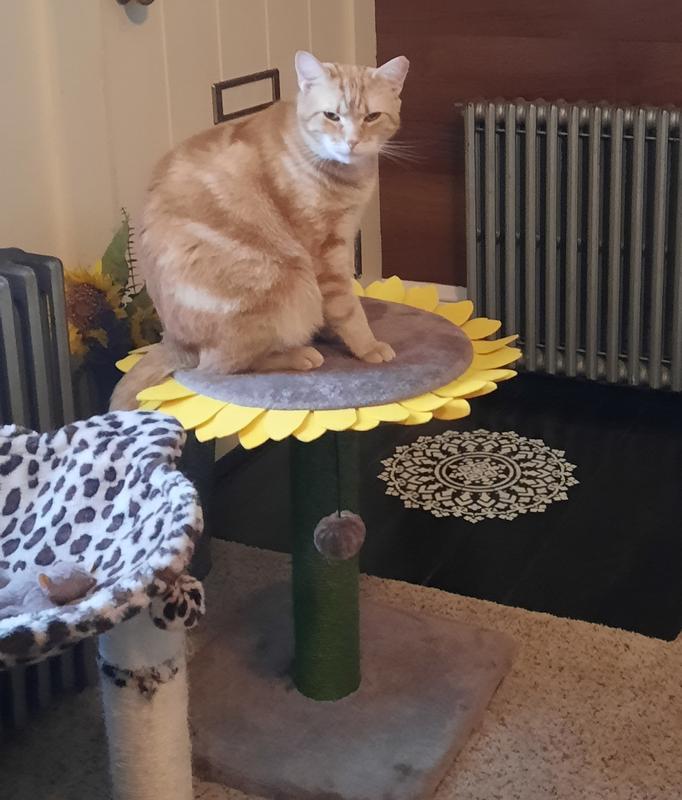 FRISCO Sunflower Cat Scratching Post, Single Post