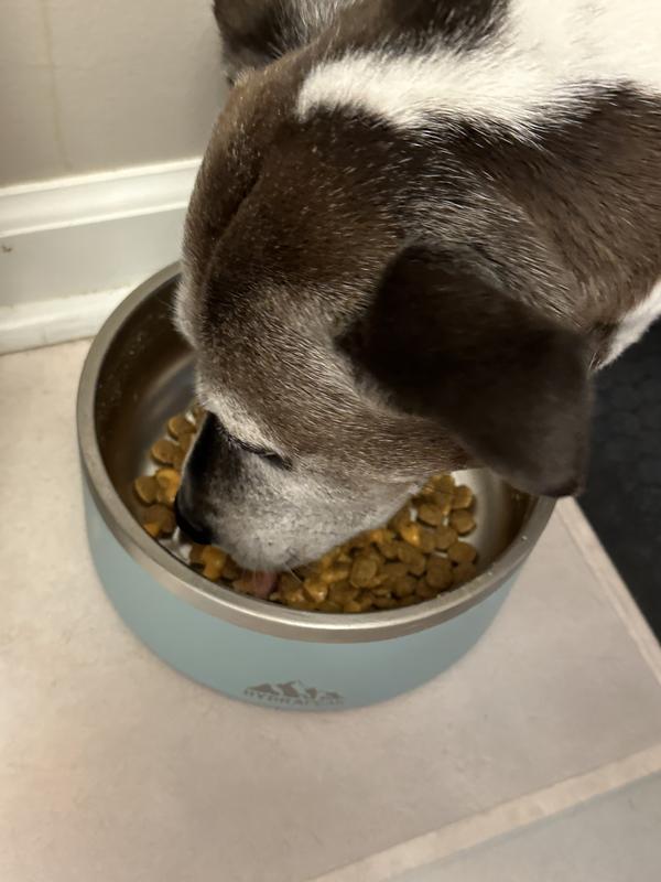 Scout enjoying her food with the topper!