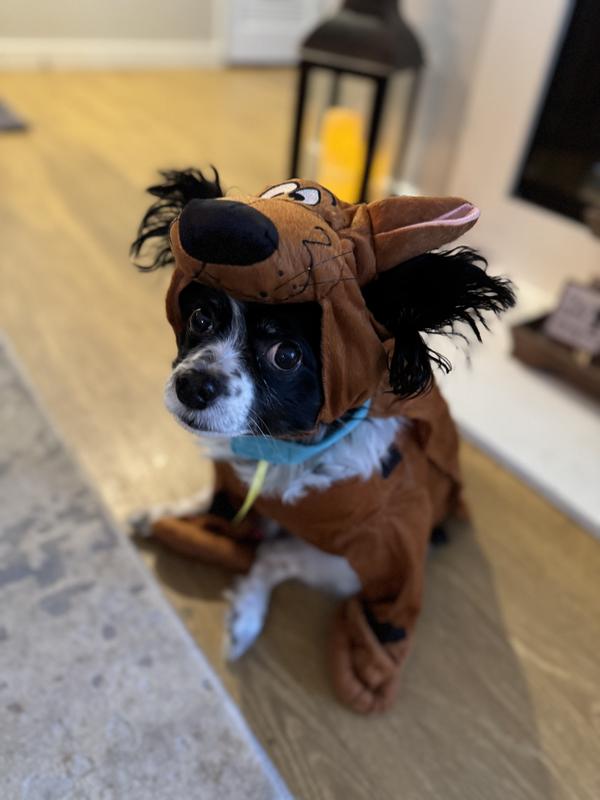 Dakota as Scoopy Doo
