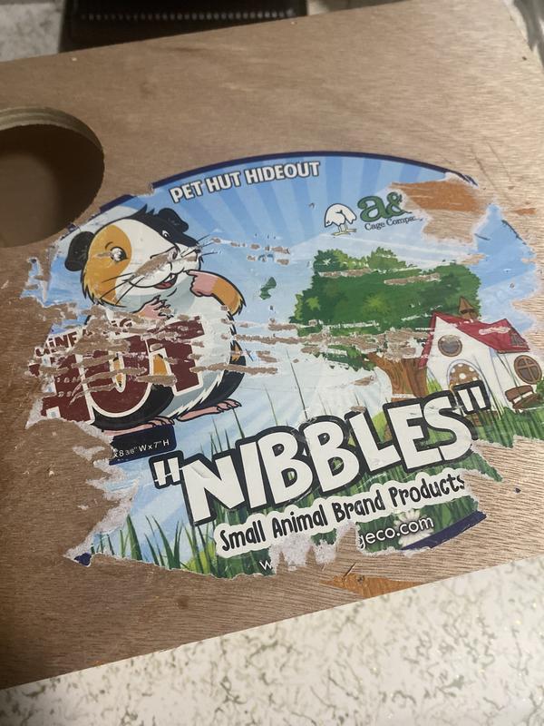 Like seriously, is this a joke?