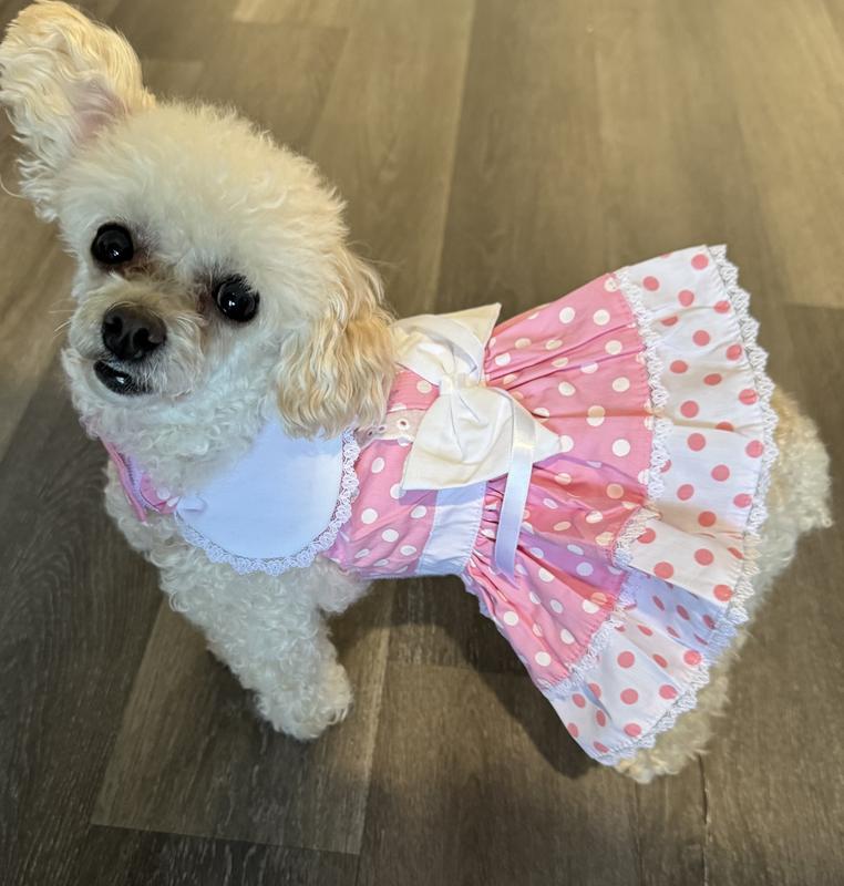 Product Reviews for DOGGIE DESIGN Polka Dot & Lace Dog Dress Set with Matching Leash